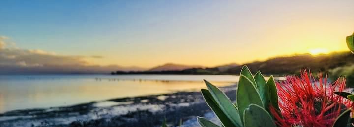 relax explore Golden Bay